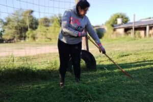 E E S N15 José Hernández