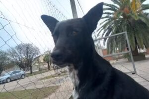 Eet N 18 Prof M M Touceda