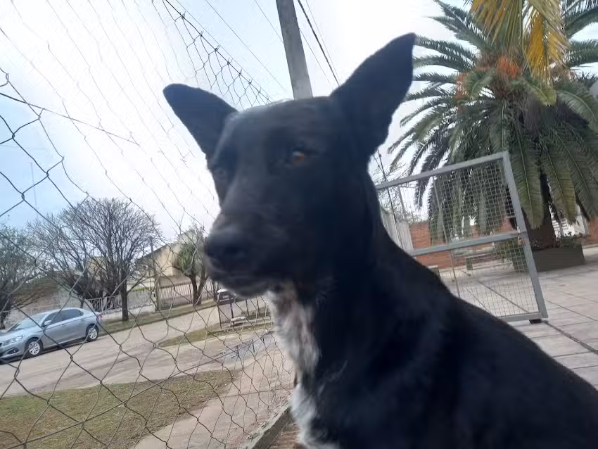 Eet N 18 Prof M M Touceda