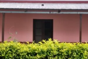 Efa La Sarita N 8221