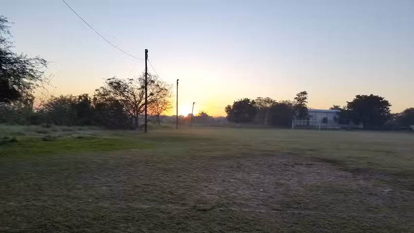 Epep N 378 Benedetto Fachini