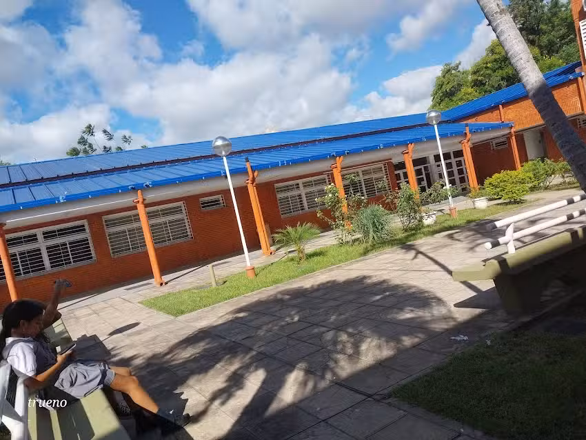 Epes N10 Dr Carlos Pellegrini