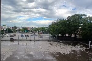 Epes N52 Monona Donkin