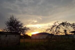 Epes Nro 43 Prof Hugo Del Rosso