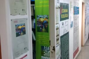 Economia Ecologica Grupo Instituto Del Conurbano