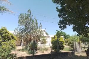 Eep N 788 Sotero Asoto