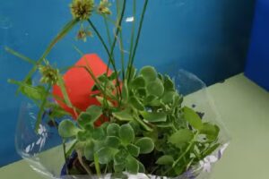 Ees N 11 Escuela de Educación Secundaria N 11