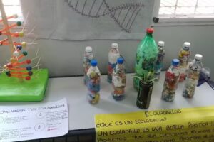 Ees N5 Dr René favaloro