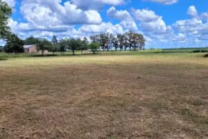 Ees Nº 141 Maestro René Orlando Acevedo