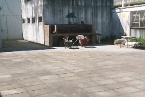 Eest N 11 Islas Malvinas