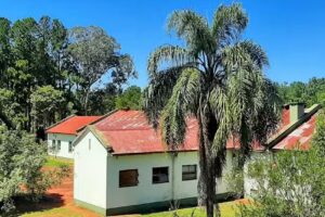 Efa 0501 Concepción de la Virgen María