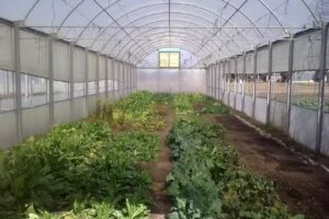 Efa Escuela de la Familia Agrícola N8209