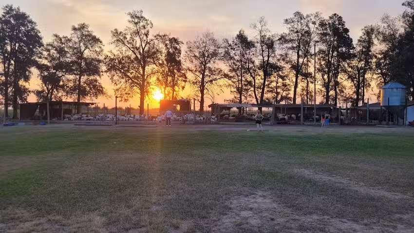 Efa Patricia Inés Mira Colonia Alpina