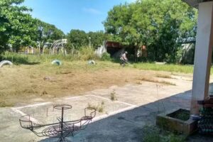 Eji N 14 Capullito De Algodon