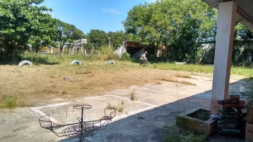 Eji N 14 Capullito De Algodon