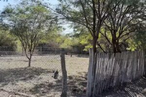 Epep 411 Cnia La Estrella