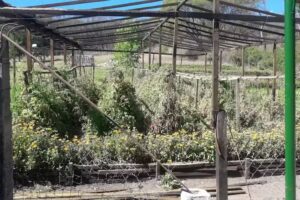 Esc Maria Valdiviezo N 4393