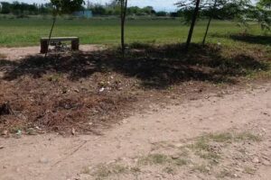 Esc N 4296 Jesus de Nazareth