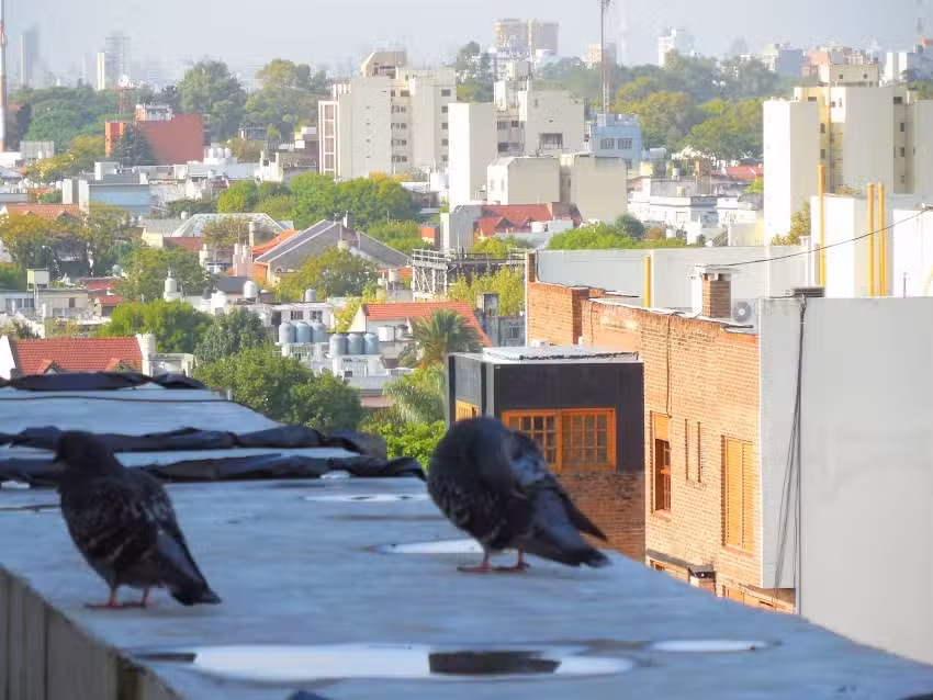 Esc Primaria Común N 14 Leopoldo Lugones