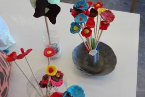 Esc Primaria Común N 15 Manuel Antonio Acevedo