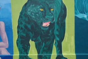 Esc Primaria Común N 16 Andrés Ferreyra