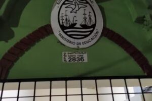 Esc Primaria Común N 21 Rompehielos Gral San Martin