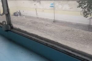 Esc Primaria Común N 22 Carlos Pellegrini