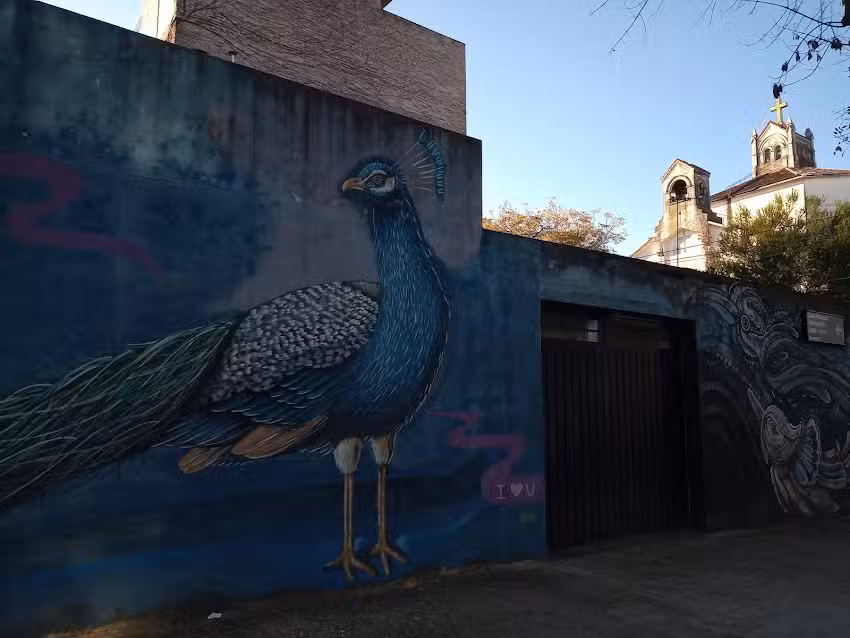 Esc Primaria Común N 22 Felix de Azara