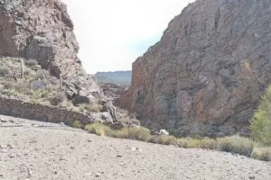 Esc Primaria N 146 Maestro Argentino