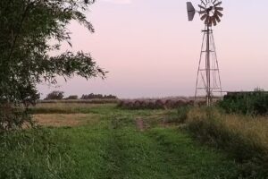 Esc Primaria Santiago Petean Victor Manuel