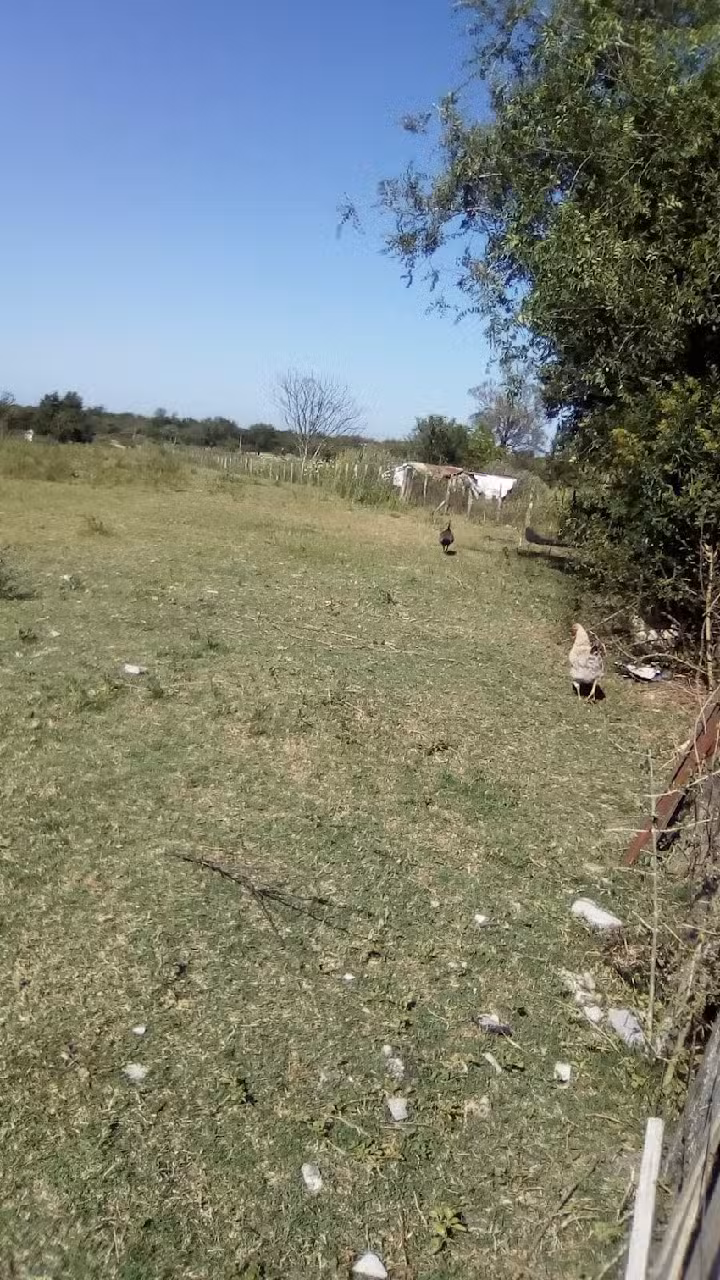 Esc Sec N 12 La Calandria