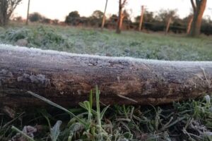 Esc SecXX de Septiembre MultiañoCBC Colonia La Llave