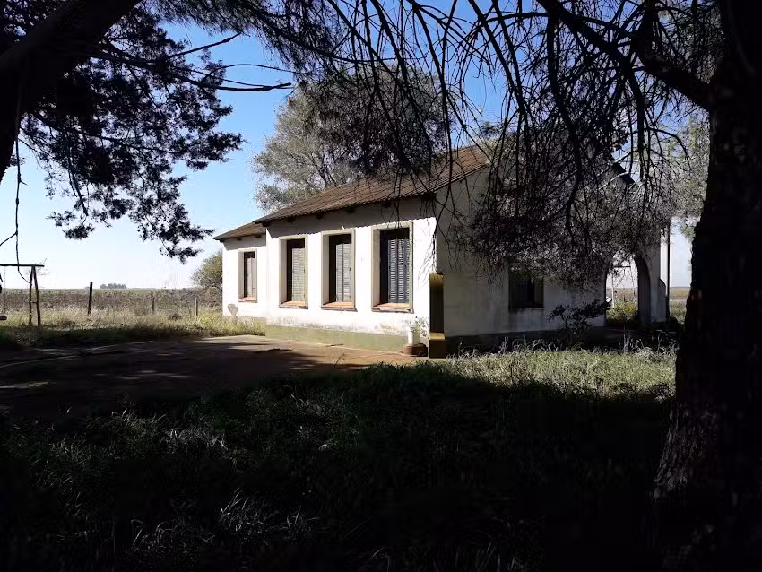 Escuela 11