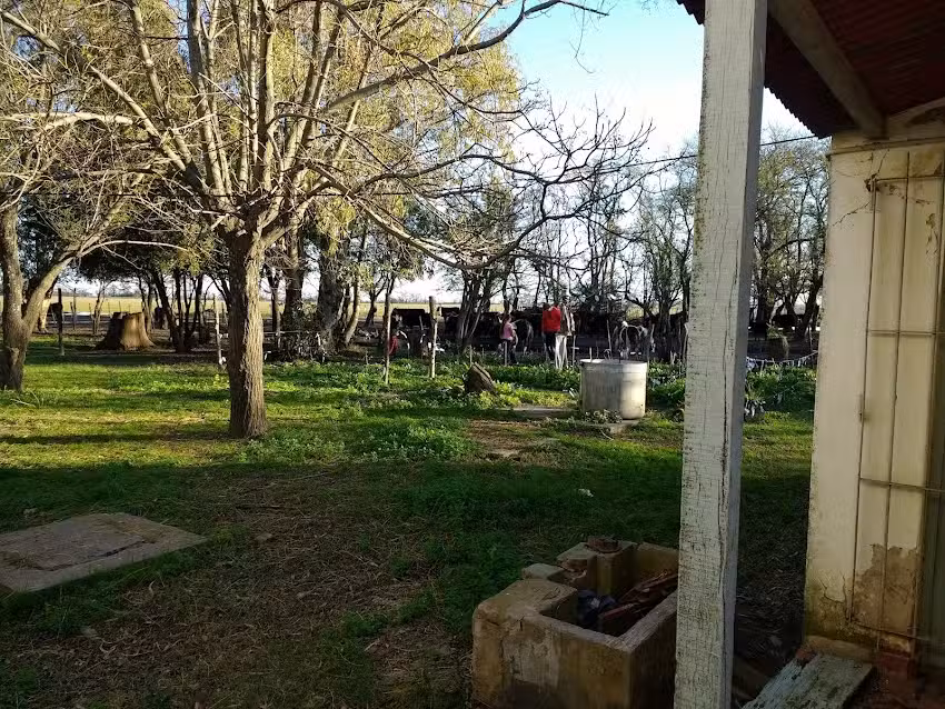 Escuela 2 Florentino Ameghino Cerrito