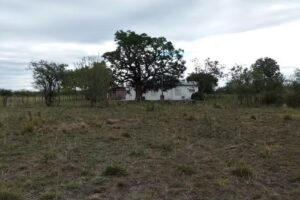 Escuela 21 Fragata Sarmiento