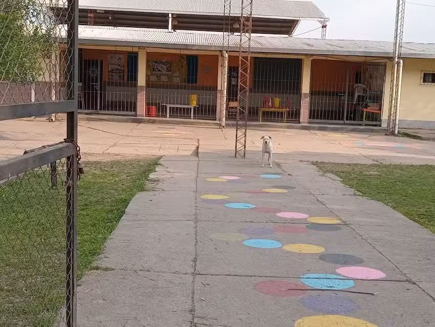 Escuela 255 Primaria