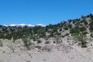 Escuela 267 El Recreo