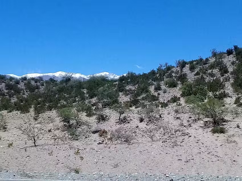 Escuela 267 El Recreo