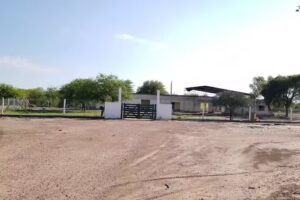 Escuela 297 Jose Matias Zapiola