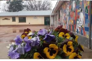 Escuela 4195 El Molino