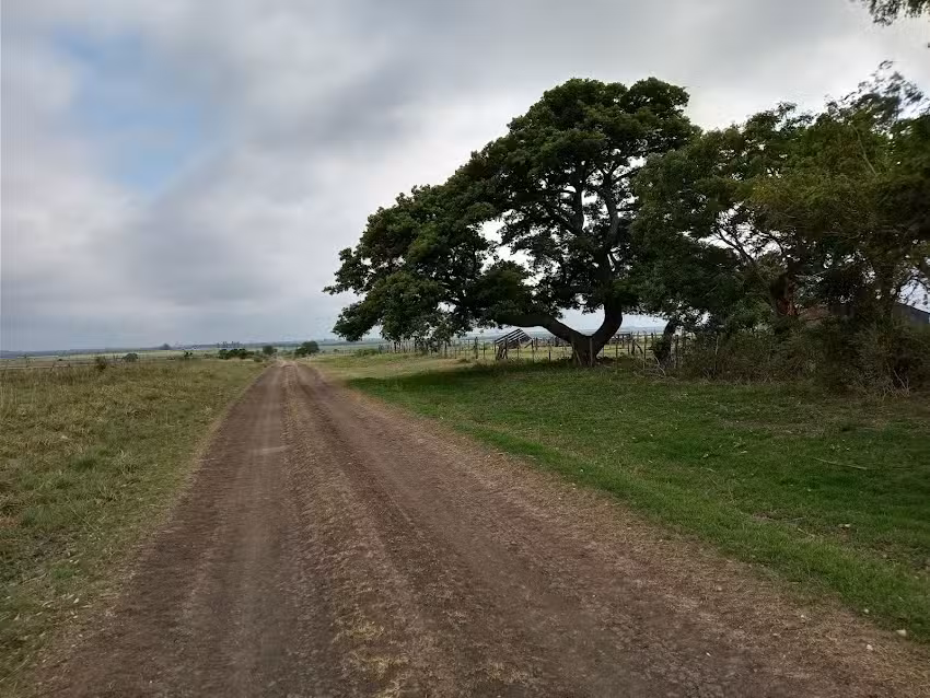 Escuela 41 Gregoria Perez