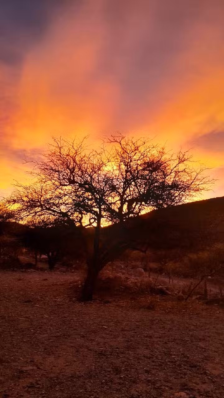 Escuela 4475 San Lucas