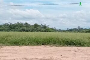 Escuela 4514 Martín Miguel de Guemes