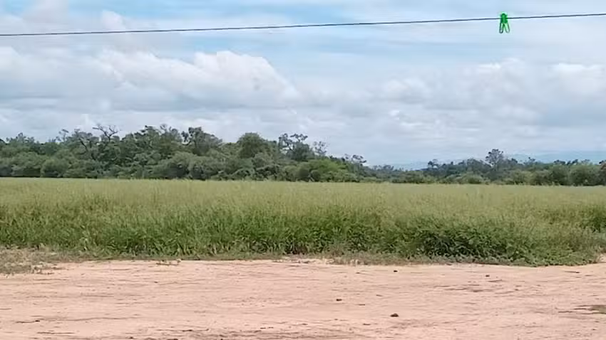 Escuela 4514 Martín Miguel de Guemes