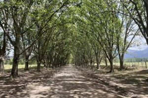 Escuela 4546 Dr Carlos Indalecio Gomez