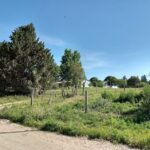 Escuela 50 Facundo Arce