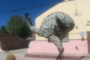 Escuela 5025 Colegio Sagrado Corazon de Jesus