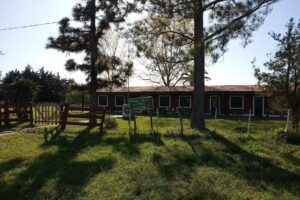 Escuela 56 Juan Pringles