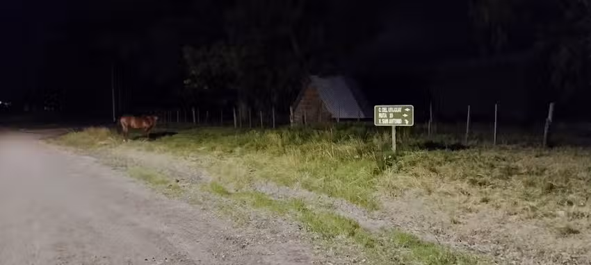 Escuela 62 Paso de los Andes