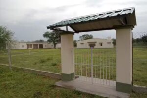 Escuela 776 vaca human